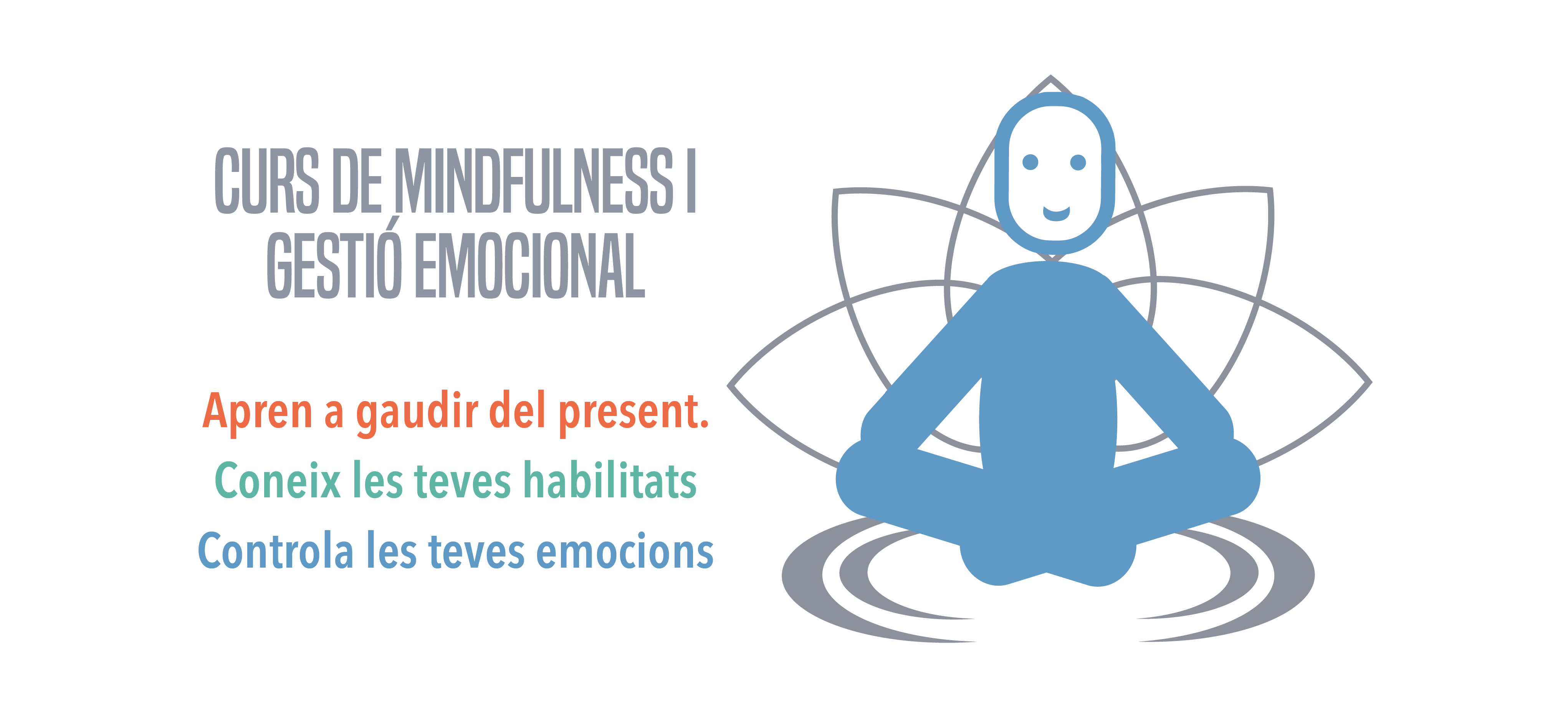curs de mindfulness i gestió emocional vitruvi centre